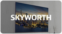 Skyworth Store